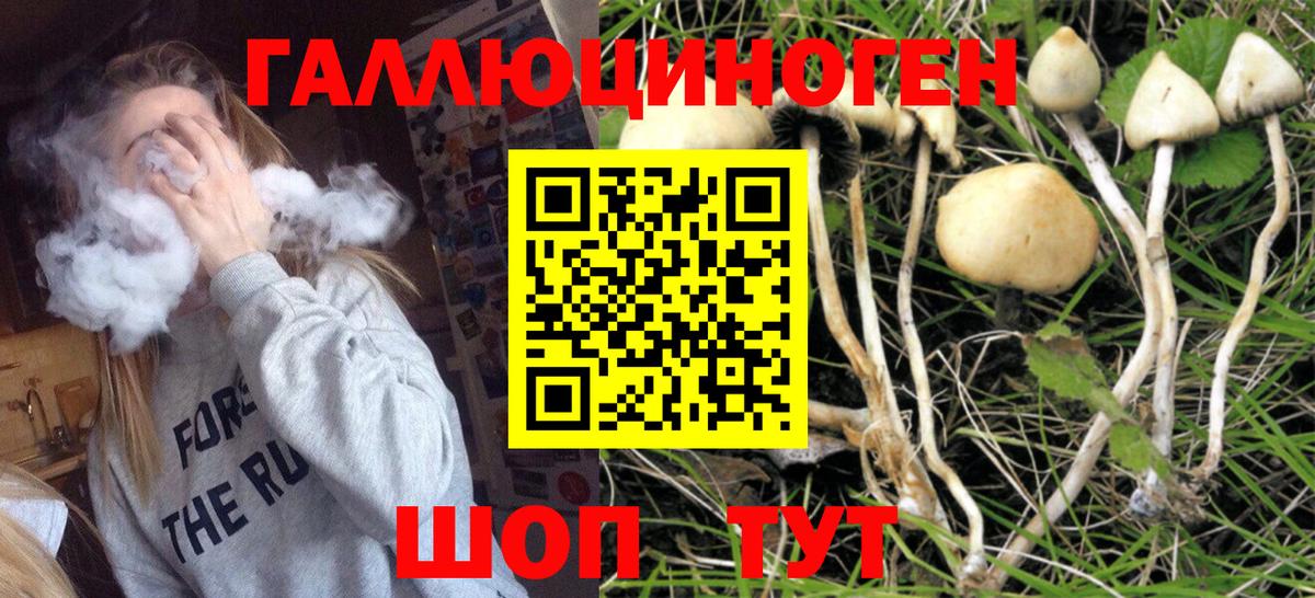 Псилоцибиновые грибы прущие грибы  Вход с VPN  Лыткарино  Псилоцибиновые грибы Magic Shrooms 